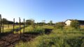 Naturtrail