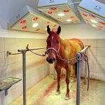 Solarium