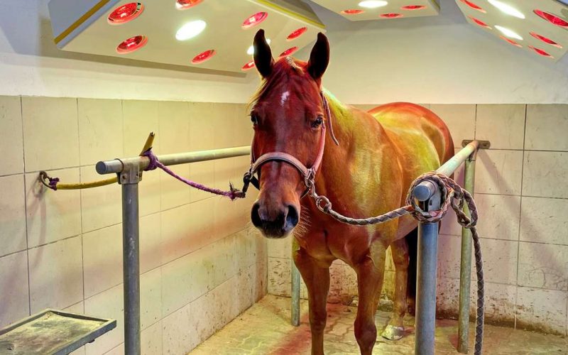 Solarium