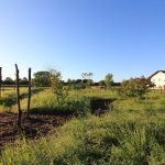 Naturtrail