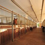 Stall