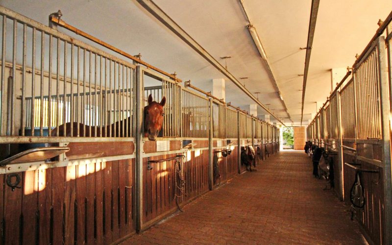 Stall