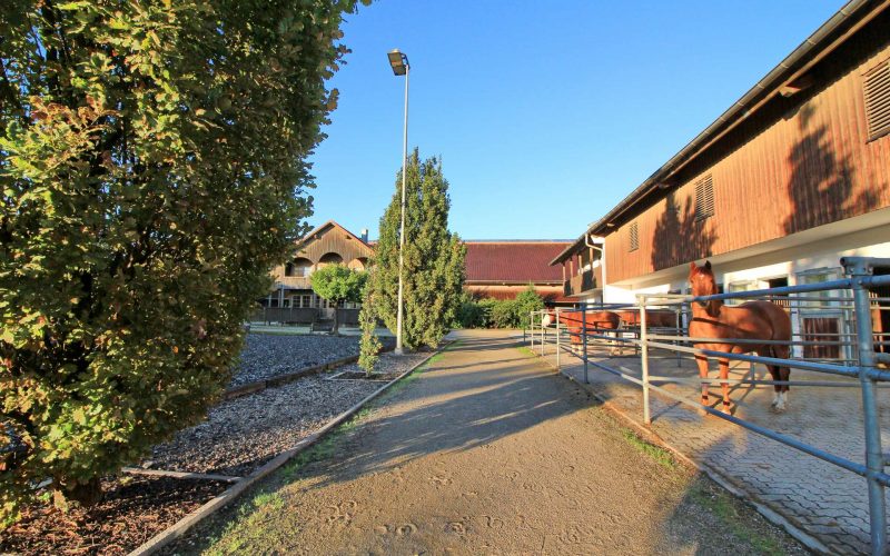 Paddockboxen